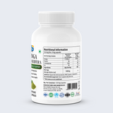 Moringa Oleifera